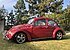 1967 Volkswagen Beetle for sale 101100739
